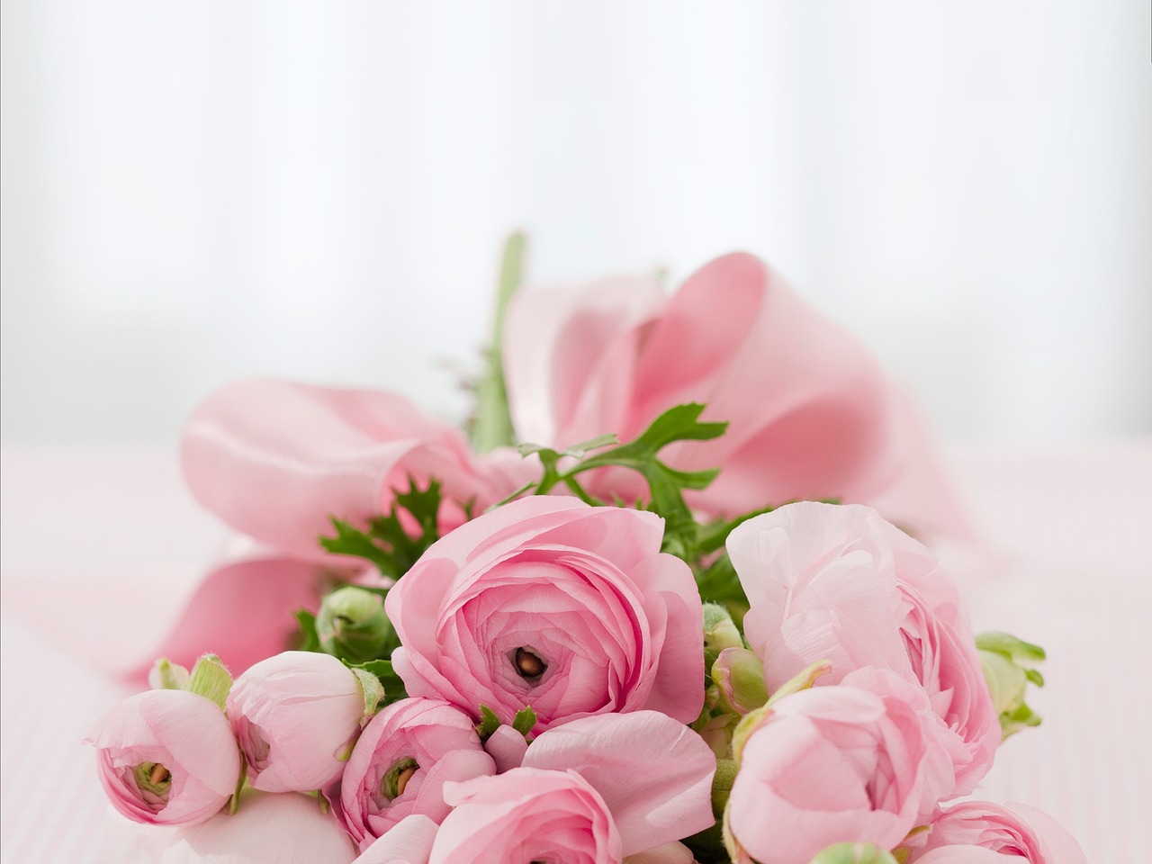 Bloemen op vensterbank verbeteren energie-efficiëntie. Bloemen op vensterbank verbeteren energie-efficiëntie.
